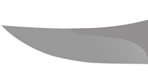 coltello da caccia skinning
